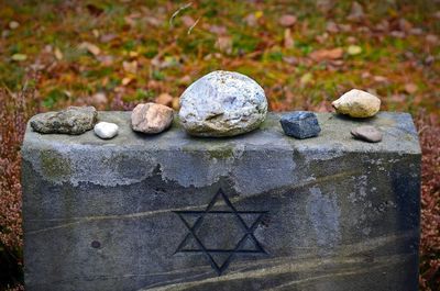 Föhrenwald – das vergessene Schtetl