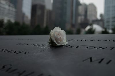 An einem Dienstag im September – 25 Jahre 9/11